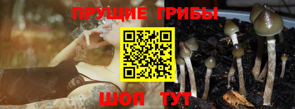 Коряжма  Псилоцибиновые грибы Magic Shrooms  Вход с VPN  Псилоцибиновые грибы MAGIC MUSHROOMS 